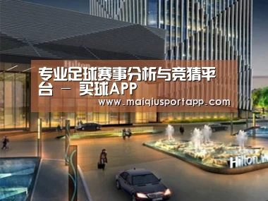案例展示二(图1)
