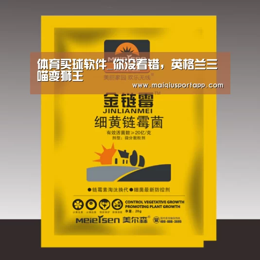 体育买球app