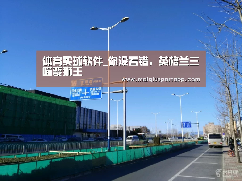 体育买球软件