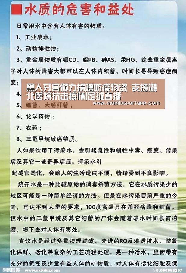 体育买球软件
