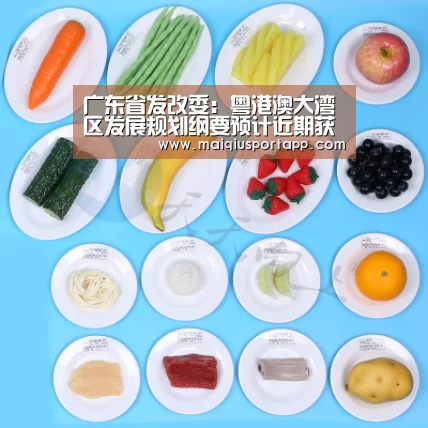 广东省发改委:粤港澳大湾区发展规划纲要预计近期获批实施-体育买球软件(图1) 体育买球软件