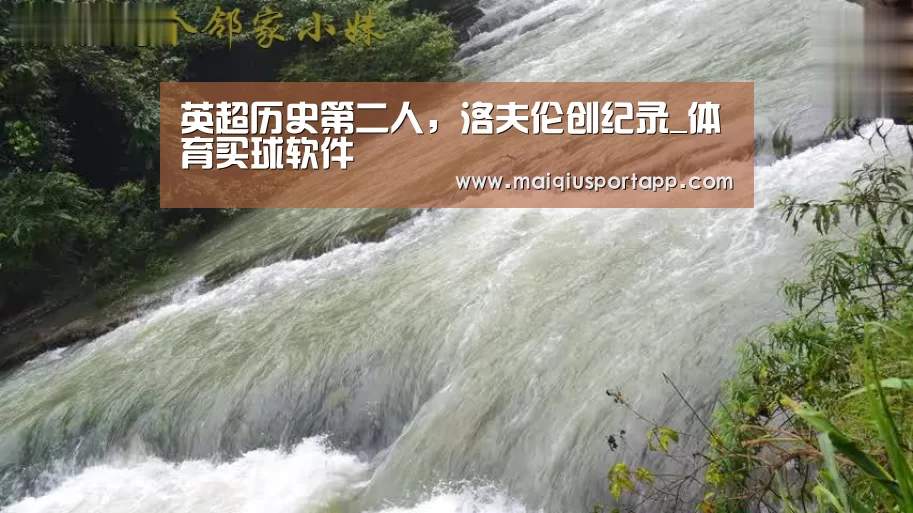 足球直播