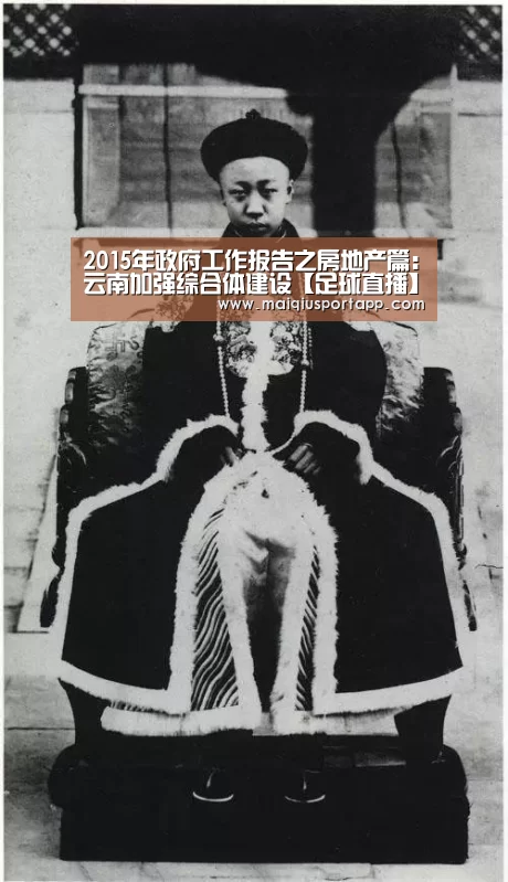 2015年政府工作报告之房地产篇:云南加强综合体建设【足球直播】(图2) 体育买球软件