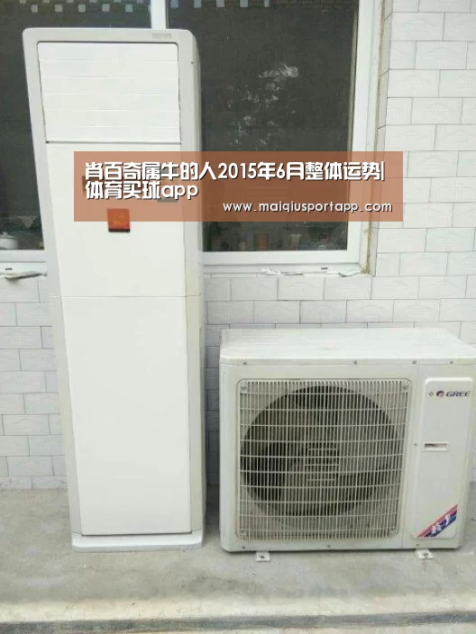体育买球app官网
