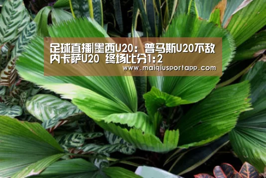 足球直播|墨西U20: 普马斯U20不敌内卡萨U20 终场比分1:2(图2) 体育买球app