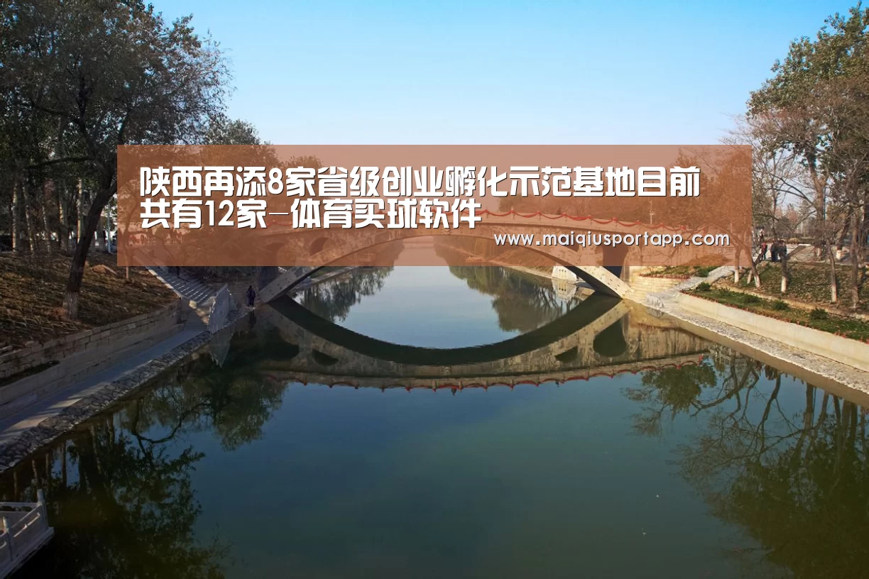 陕西再添8家省级创业孵化示范基地目前共有12家-体育买球软件(图4) 体育买球app