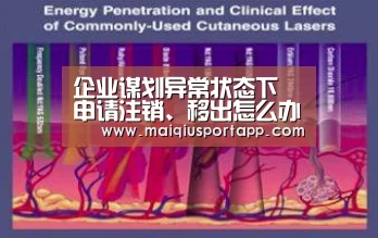企业谋划异常状态下 申请注销、移出怎么办?总局回复了!‘体育买球app官网’(图3) 足球直播