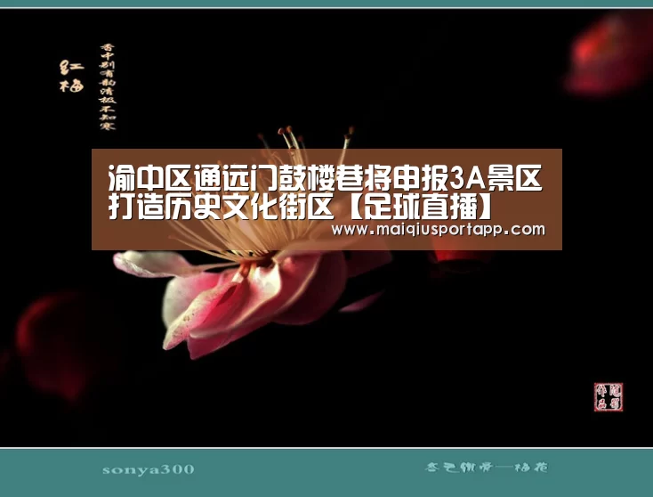 体育买球app官网