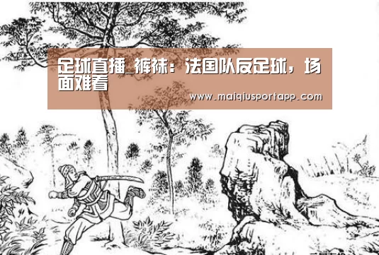 足球直播_裤袜:法国队反足球,场面难看(图1) 体育买球软件