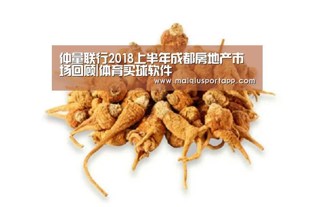 仲量联行2018上半年成都房地产市场回顾|体育买球软件(图1) 体育买球软件