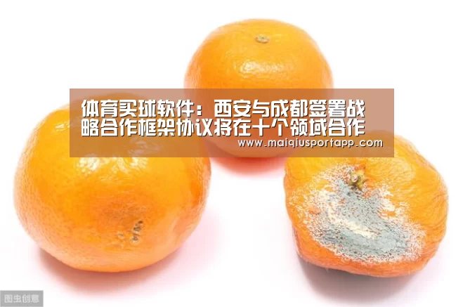 体育买球软件:西安与成都签署战略合作框架协议将在十个领域合作(图4) 足球直播