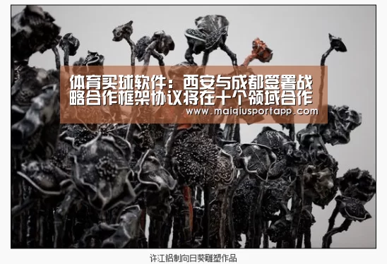 体育买球软件:西安与成都签署战略合作框架协议将在十个领域合作(图2) 体育买球软件
