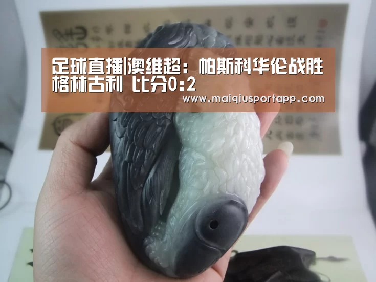 足球直播